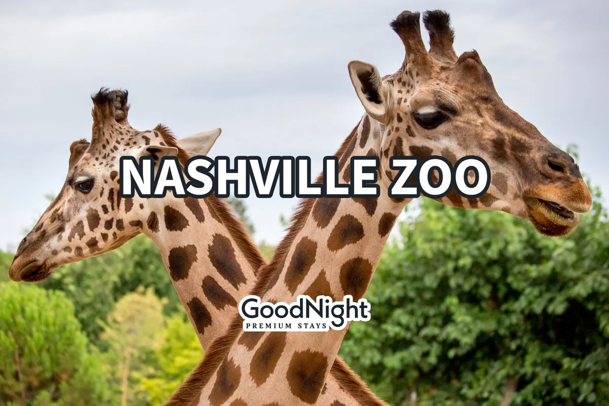 This image shows giraffes in a lush, green zoo environment, with families likely on outings and children observing animals. The mood is joyful and curious, embodying the spirit of a day at the Nashville Zoo.